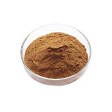 Supply pure natural angelica extract angelica root extract powder